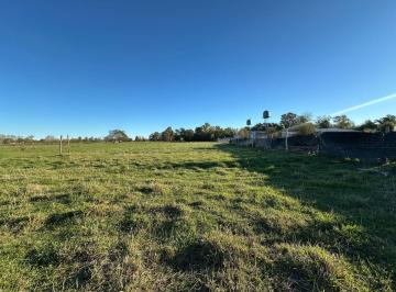 Terreno , General Belgrano · Lote de 4.950 m². Barrio Poggio. General Belgrano