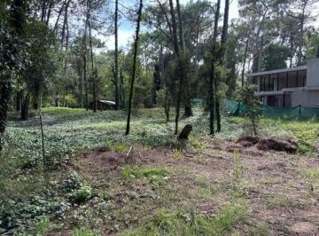 Terreno · 1030m² · Terreno Lote en Venta en Carilo, Costa Atlántica, Buenos Aires