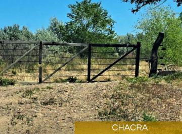 Campo , Picún Leufú · Venta Chacra 15 Ha