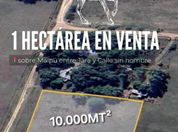 Campo , Cañuelas · Excelente Hectárea en Venta!