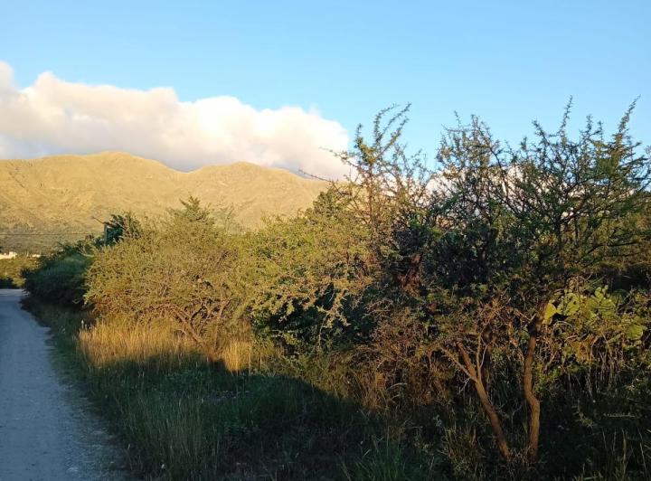 Terreno · 771m²
