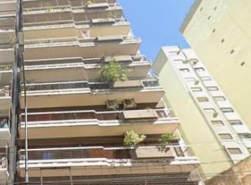 Departamento · 117m² · 3 Dormitorios · 1 Cochera · Departamento - 4 Ambientes - Dependencia - Cochera - Baulera