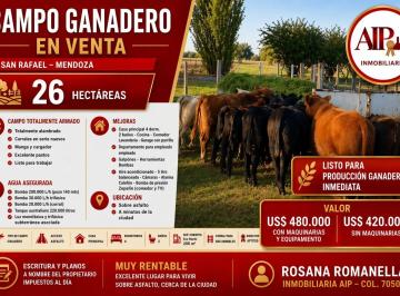 Campo · Campo - San Rafael