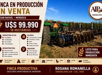 Campo · 6 Ambientes · Finca - San Rafael
