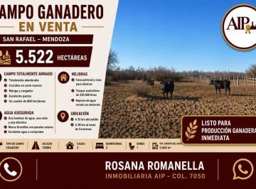 Campo · 4 Ambientes · Campo - Punta de Agua