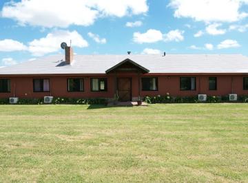 Campo · 255ha · 9 Ambientes · Chacra en Carmelo Ideal Para Airbnb o Posada con 8 Dorm. y Piscina