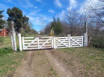 Campo · 10000m² · Venta de Ha en Maipu, Cañuelas