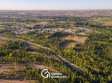 Terreno · 300m² · Terreno 300 m² en Barrio Abierto La Ribera Pueblo
