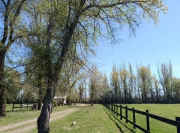 Terreno , Tunuyán · Venta de Terreno en Country Rural "Sauce Viejo"