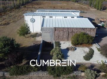 Campo · 1295m² · Bodega de Moderno Diseño Arquitectónico Sobre Ruta Nacional 143 - San Rafael, Mendoza, Argentina