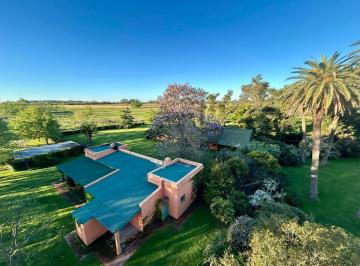 Campo · 10000ha · 6 Ambientes · Chacra en Alquiler 6 Ambientes en Luján