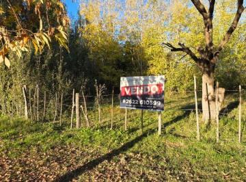 Campo , Tunuyán · Finca en Venta con 23829 m² en Tunuyán