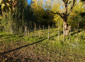 Campo , Los Sauces · Finca en Venta con 23829 m² en Tunuyán
