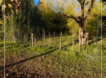 Campo , Los Sauces · Finca en Venta con 23829 m² en Tunuyán