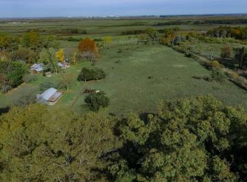 Terreno · 5000m² · Venta Lotes de 5000 Mtrs Zelaya Pilar