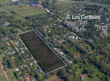 Campo · 45000m² · Excelente Fracción Para Desarrollo Inmobiliario/loteo en Zona Urbana de Los Cardales.