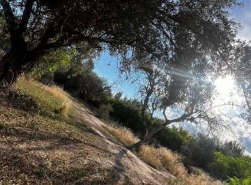 Terreno · 1000m² · Larrea Chacras de Coria
