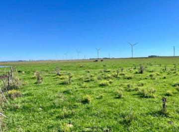Campo , Mar Chiquita · Latorre Prop. Vende 51 Ha en Vivorata