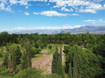 Terreno · 650m² · Lote en Venta Barrio Privado "Don Benjamin"