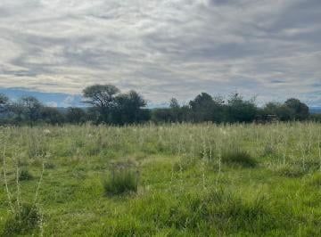 Terreno , Los Molinos · Venta de Lotes en Los Molinos