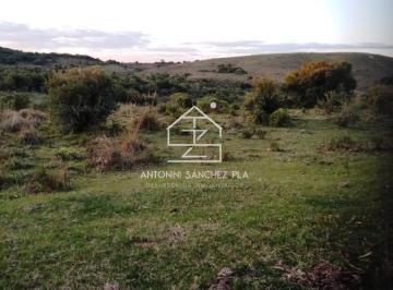 Foto1 · Campo Cerro Aspero Rocha