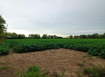 Campo · 7000m² · 1 Ambiente · Vendo Campo Agricola en Bouwer, Cordoba