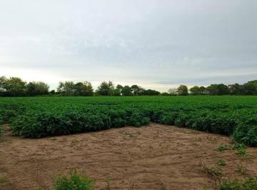 Campo · 7000m² · 1 Ambiente · Vendo Campo Agricola en Bouwer, Cordoba