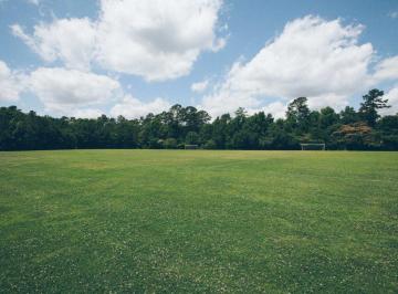 SAB-SAB-198_2 · Lote. | Area 13