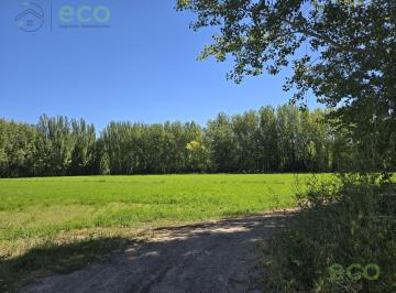 Campo · 180m² · Venta Chacra Ruta 151 Km 7,5 y Calle Rural Los Bodegueros