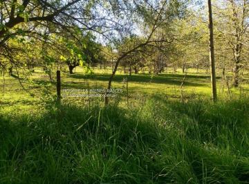 Terreno , La Plata · Terreno de 10.427 m² en Venta en Abasto, Oportunidad Única.
