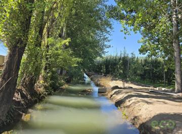 Campo · Venta Chacra Productiva Cipolletti