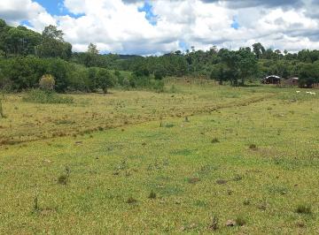 Terreno de 1 ambiente, San Vicente · Vendo Campo en Misiones 80ha Propiedad