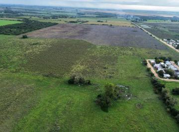 Campo · 480000m² · Vendo Campo 48 Has en San Justo Entre Ríos