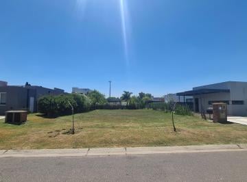 Terreno , Pilar · Excelente Orientacion, Lote Construido en Todo Su Perimetro, Dueño Directo