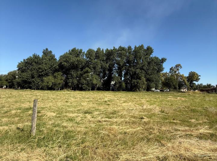 Terreno · 228m²