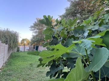Casa de 4 ambientes, Junín · Casa Grande a Reciclar/refaccionar Amplia