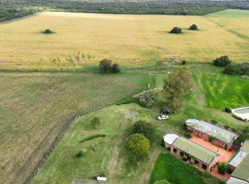 Campo · 1000m² · Vendo Establecimiento de 906 Has en Colonia Los Ceibos Entre Ríos