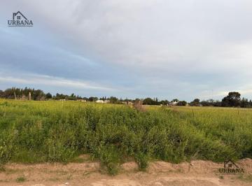 Terreno · Terreno en Bahia Blanca