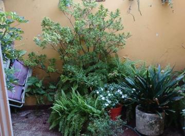 PH de 3 ambientes, Flores · PH de 75 m². 3 Ambientes en Pb C/ 2 Patios