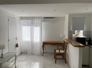 Departamento de 1 ambiente, Recoleta · Monoambiente Muy Luminoso en Recoleta