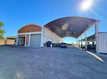Bodega-Galpón de 7 ambientes, Maipú · Galpón en Alquiler, Rodríguez Peña, Maipú, Mendoza