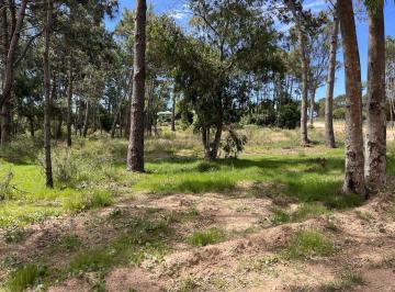 BPV-BPV-11110_2 · Espectacular Terreno en Venta Barra Verde Apto Para PH