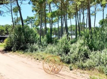 Terreno · 800m² · Venta Lote Zona Álamos Pinamar