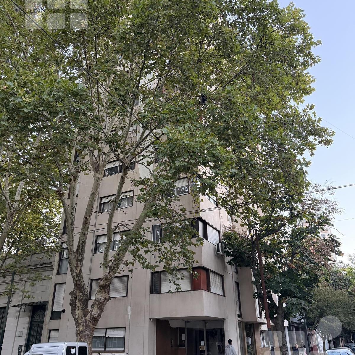 2 y 56