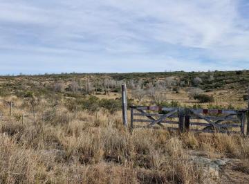 Terreno · 92443m² · Campo en Venta Parque Siquiman