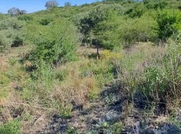 Terreno · 30000m² · Terrenop en Venta Ascochinga La Pampa Cordoba