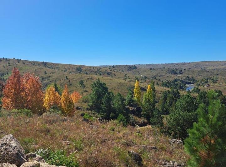 Terreno · 5098m²