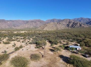 Campo , Colalao del Valle · Venta Finca en Valles Calchaquies - Ideal Viñedos