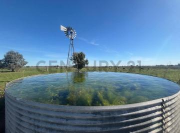 Campo · 61m² · Fracción de Campo 61 Hectáreas en Gral. Rodríguez | Cuartel Tercero | Apto Desarrollo Agropecuario