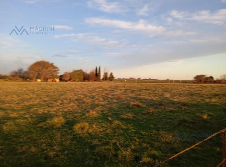 Terreno · 12500m²